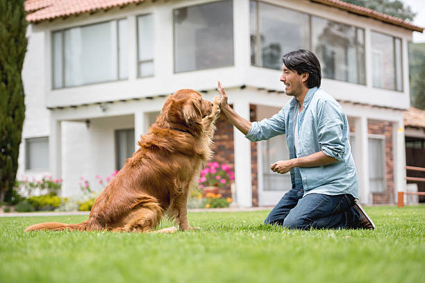 Latin American man training a dog outdoors making him give a high-five